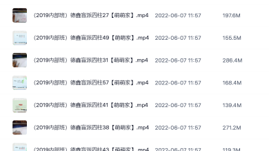  赵德鑫民间盲派四柱视频59集-易学