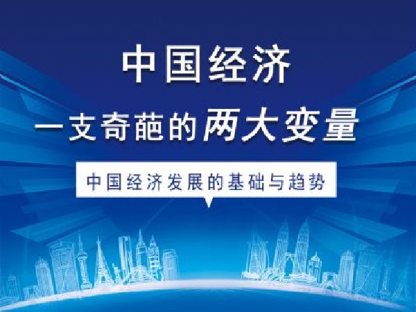 福卡智库-中国经济一支奇葩的两大变量