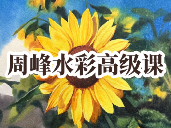 阿妹艺术-周峰水彩高级