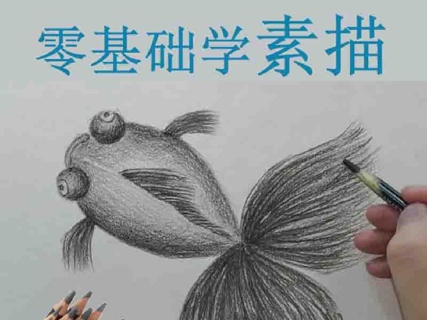 学浪-零基础学画画之素描基础课程40节