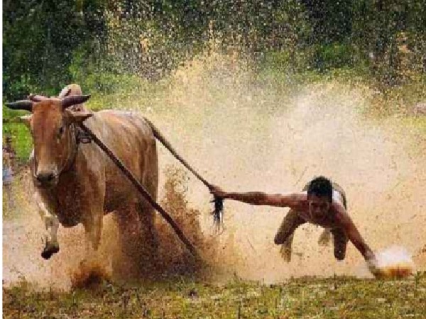 只会炒股(股哥19期金融训练营)