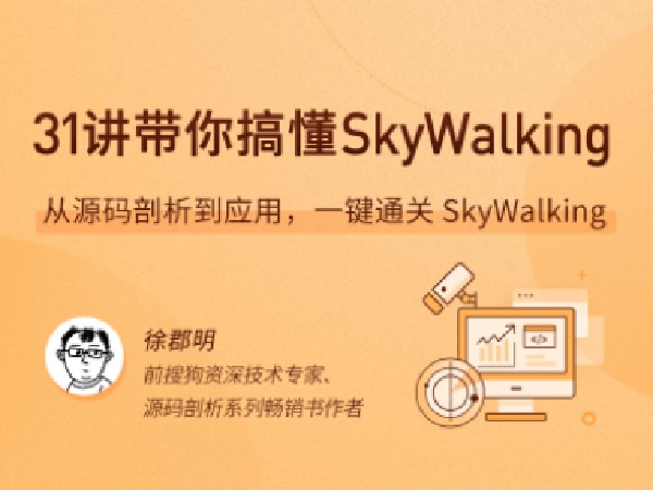 拉勾专栏-31 讲带你搞懂 SkyWIT