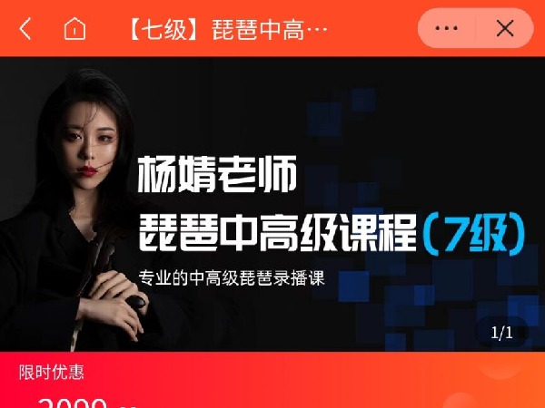 海豚知道-杨婧-七级-琵琶中高级课程