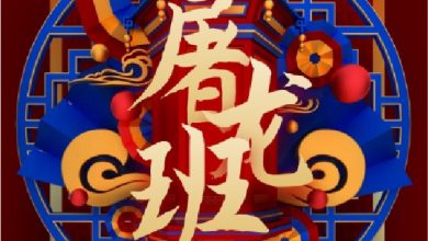  什么值得学-热门付费课程推荐分享评测
